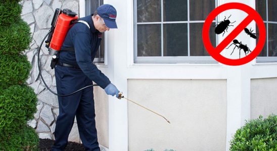 Siverek Dezenfeksiyon böcek ilaçlama ve haşere kontrolü — ilaclama-tr.com